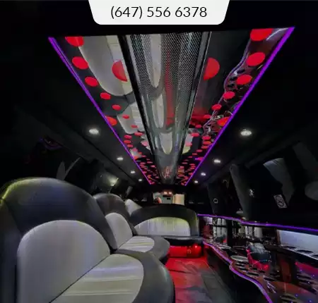 Black Navigator Limo Interior
