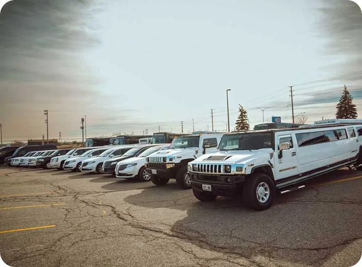 Limo and Party Bus Packages